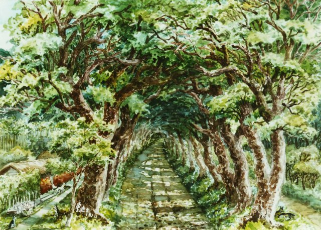 Z087 曾興平---古早台東的綠色隧道 水彩 4K 1993 